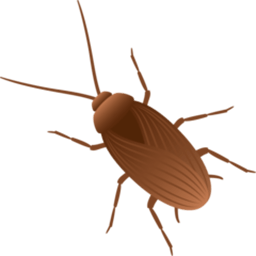MAGGOT